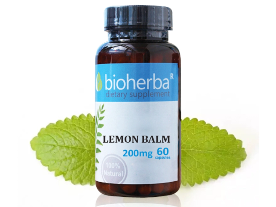 Revitalize Your Body and Mind with Lemon Balm: The Ultimate Guide to This Potent Dietary Supplement